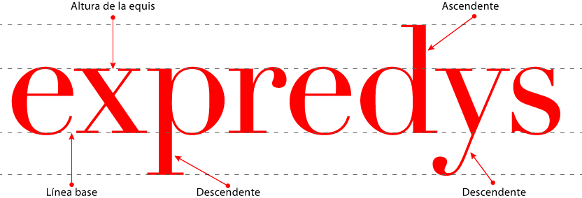 Anatomía de los tipos.