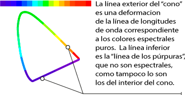 Significado de las líneas externas que forman la proyección bidimensional.