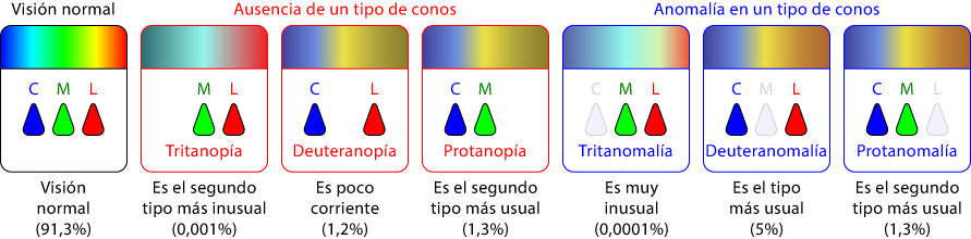 Los diferentes tipos de ceguera al color (los porcentajes se refieren a hombres que la padecen).