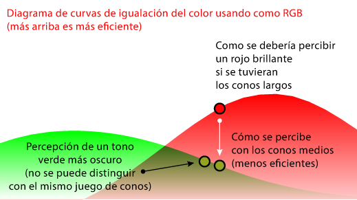 La percepción del rojo en protanopía.
