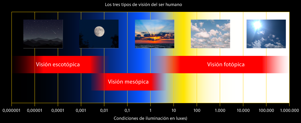 Los tres tipos de visión humana.